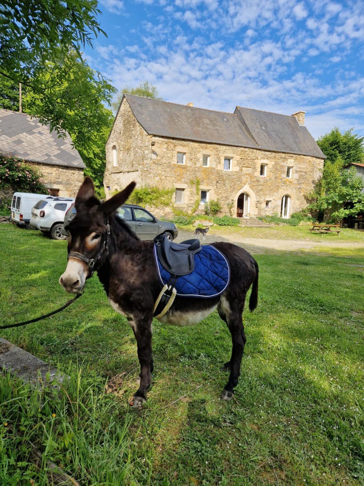Manoir De Questinguy Bed and Breakfast Allineuc Buitenkant foto